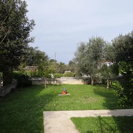 Apartments By The Sea Zadar - Diklo - 23703
